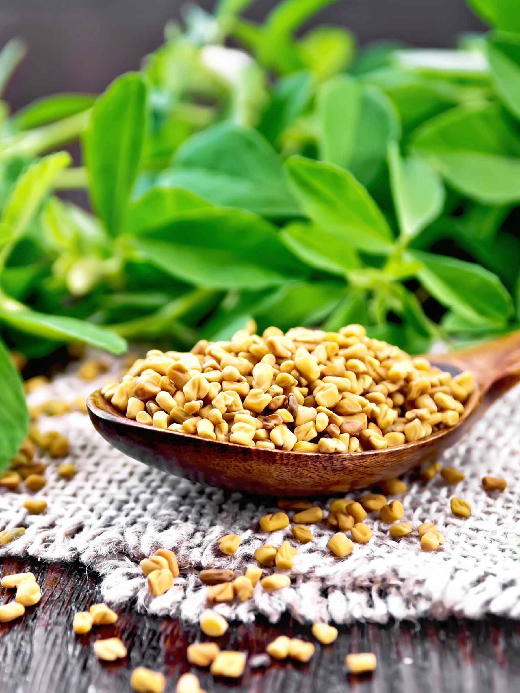 Fenugreek Seeds For Hair