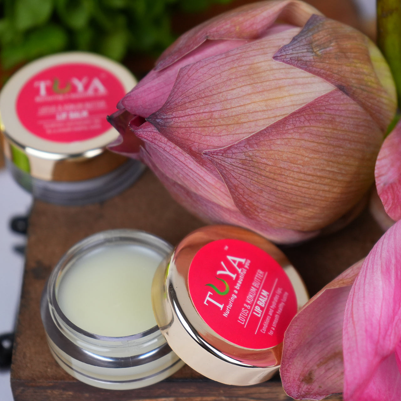 Lotus and Kokum Butter Lip Balm